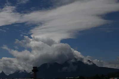 DSC_6264 (Large).JPG